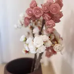 Vukancic *
