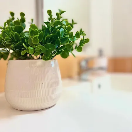 Vukancic * Novigrad Istria