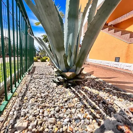 Vukancic * Novigrad Istria