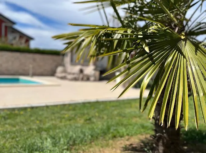 Lejlighed Vukancic Novigrad Istria