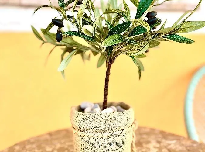 Lejlighed Vukancic *