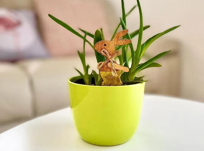 Apartamento Vukancic