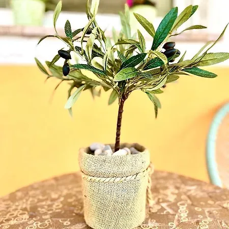 Appartement Vukancic *