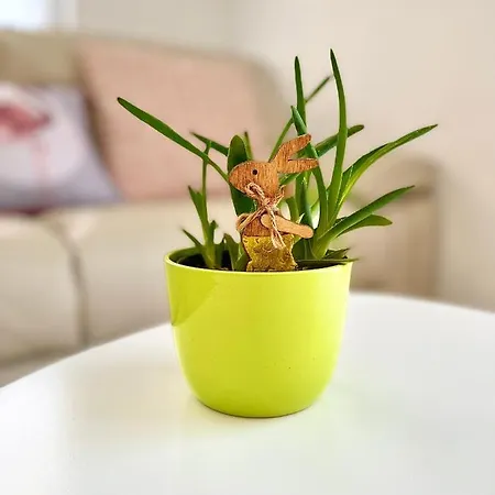 Appartement Vukancic