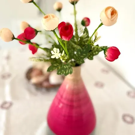 Vukancic Appartement