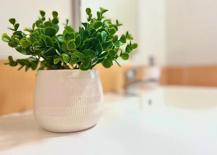 Vukancic * Novigrad Istria